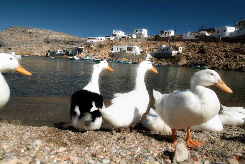 Romanza Cherronisos  Exteriér fotografie